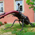 No. 504 - Muzeum Przyrodnicze w Jeleniej Górze No. 504 - Muzeum Przyrodnicze w Jeleniej Górze